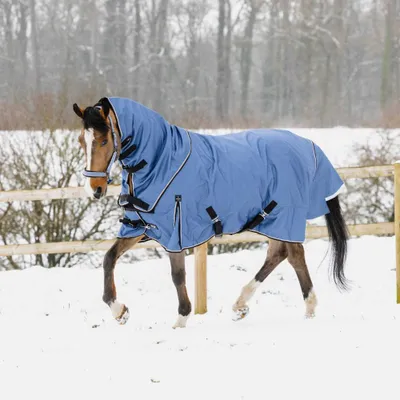 Image de Equithème 1200D AI 50g Standard - Taille 6'0