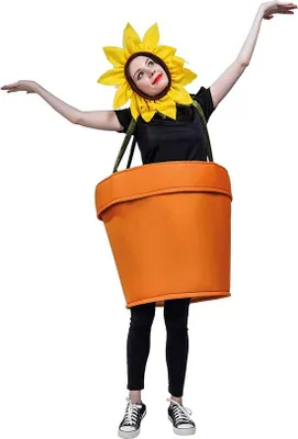 Immagine prodotto di Vaso di fiori