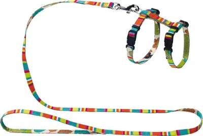 Image de Hunter Kit pour chatons/chiots Stripes