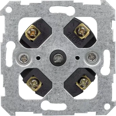 Immagine prodotto di Inserto timer Merten 538200 a 2 poli 120min (538200)