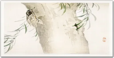 Produktbild von Coloray Bild aus Leinwand 100x50 Leinwand Dekoration - Baumzweige Blätter Insekt