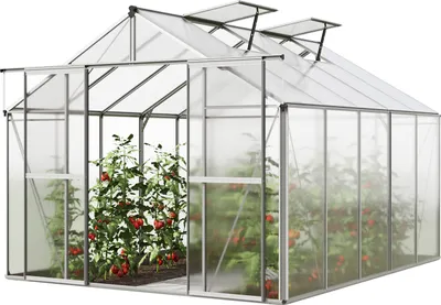 Image de GFP Serre de jardin Orchidee 5 structure en aluminium 256 x 317 cm panneaux en polycarbonate
