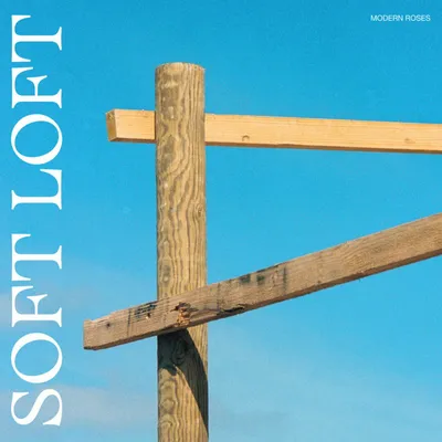Produktbild von Modern Roses