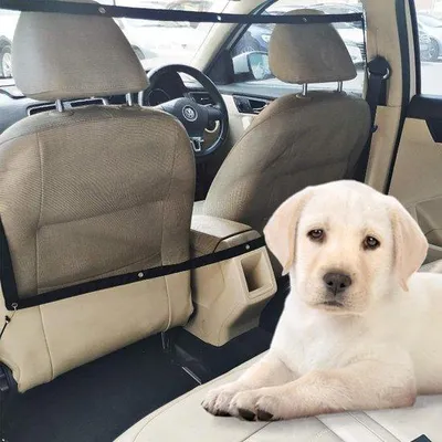 Produktbild von Famanu Hundeautobarriere mit verstellbarem Seil und Haken - 115 x 62 cm