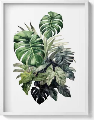 Produktbild von Bemalte Monstera-Blätter– Wandbild mit Rahmen – Gerahmtes Bild  – Wanddekoration – 60x80 cm –  Weiß Rahmen