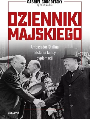 Produktbild von Dzienniki Majskiego