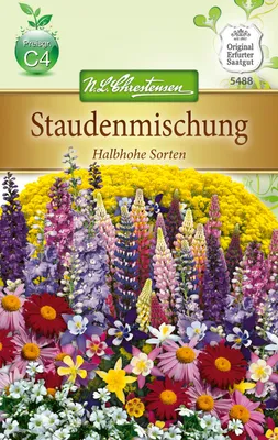 Produktbild von Staude Halbhohe Mischung  | Blumensamenmischung von N.L. Chrestensen