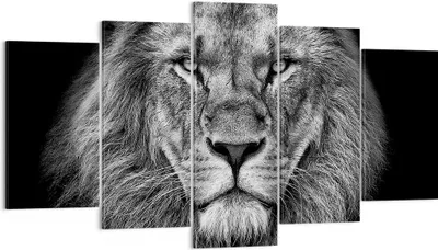 Produktbild von Bild auf Leinwand - Leinwandbild - 5 Teile - Porträt Löwe Schwarzweiß - 160x85cm - Wand Bild - Wanddeko - Wandbilder - Leinwanddruck - Bilder - Wanddekoration - Leinwand bilder - EA160x85-4494