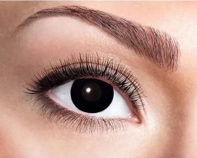 Produktbild von Eyecatcher Color Fun - Farbige Kontaktlinsen Black Witch Schwarze Hexe 2 Stück (1 Paar) - Ideal für Karneval, Fasching, Halloween & Party