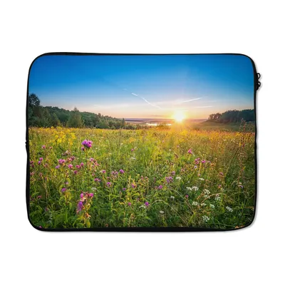 Produktbild von MuchoWow® Laptop Hülle 15 Zoll Sonne - Gras - Blumen Laptoptasche - Laptoptasche - Sleeve - Rundum-Schutz