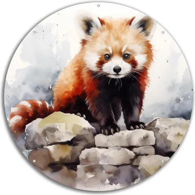 Produktbild von Wallario rundes Outdoor-Poster für Garten oder Balkon, Motiv Neugieriger Rotpanda, 60 cm Durchmesser