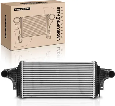 Obrázek produktu pro Frankberg 1x mezichladič pro Mercedes-Benz třídy M W164 V251 W251 X164 3.0L