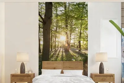 Produktbild von Fotobehang für die Wand - Breite 120 cm x Höhe 240 cm - Sonnenshine - Baum - Dekoration