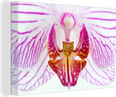 Produktbild von OneMillionCanvasses® - Leinwandbilder - 140x90 cm, Orchidee Detail, Wandbilder Kunstdruck Wanddekoration - Foto auf Leinwand - Gemälde auf Holzrahmen