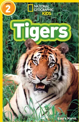 Produktbild von Tigers (National Geographic Kids Readers, Level 2)