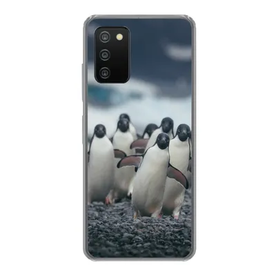 Produktbild von MuchoWow® Handyhülle Schutzhülle Hülle für Samsung Galaxy A03s Adeliepinguine am Strand Silikon Softcase Handy Hülle - Schutz