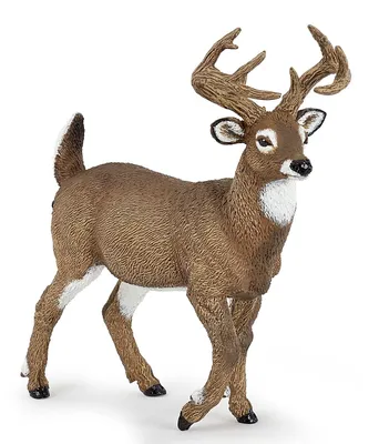 Immagine prodotto di Papo Wild Life Cervo dalla coda bianca 53021