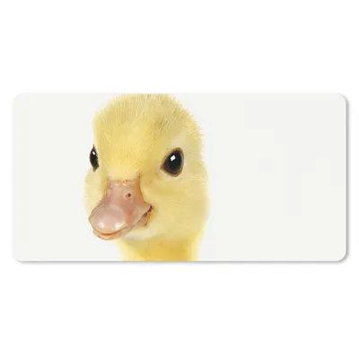 Produktbild von MuchoWow® Mauspad Mousepad Ente - Küken - Süß - Kinder - Mädchen - Jungen 60x30 cm - Mousepads - Maus Mat - Pad - Mausunterlage - Nachhaltig
