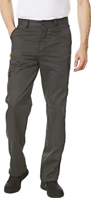 Produktbild von Iron Mountain - Cargo-Hose für Herren PB368 (40L) (Grau)