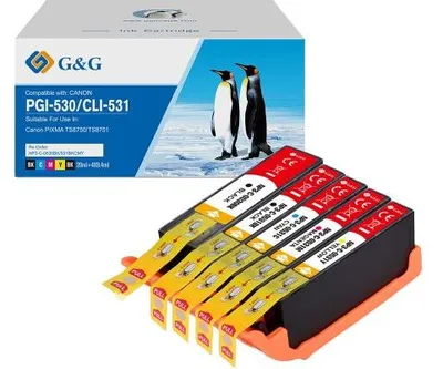 Produktbild von Kompatible Tintenpatronen PGI-530 / CLI-531 für Canon
