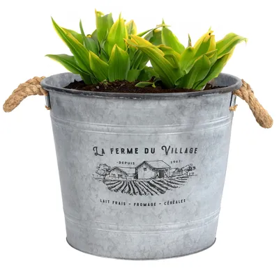 Produktbild von Sunnydays Eimer/Pflanzgefas - Zink - Silber - D38 x 31 cm
