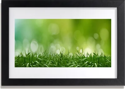 Produktbild von Bild 30x20 MDF-Rahmen Wandkunst Gras Natur Pflanze
