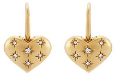 Produktbild von Ohrringe Damen Edelstahl Goldfarben Fossil JF04833710 Schmuck Accessoire