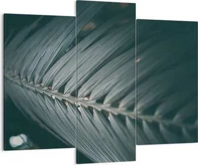 Produktbild von Bild auf Leinwand - Leinwandbild - 3 Teile - Blatt Palme exotisch - 130x100cm - Wand Bild - Wanddeko - Wandbilder - Leinwanddruck - Bilder - Wanddekoration - Leinwand bilder - CB130x100-4907