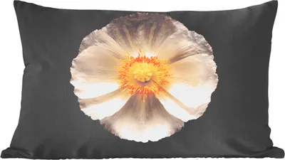 Produktbild von MuchoWow® Zierkissen Sofakissen Wohnzimmer Dekokissen 50x30 cm Mohn - Blume - Weiß - Wohnzimmerdekoration - Polster mit Photo