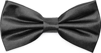 Produktbild von Ladeheid Elegante Herren Fliege -Hochwertig Glänzend Verstellbar BMS (12cmx6cm)