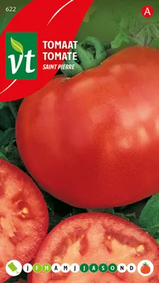 Image de Tomate Saint Pierre Graines - Environ 0,5 gr | VT_622