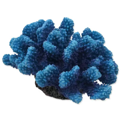 Produktbild von Dekoration Aqua Excellent Meereskoralle blau 14,5x10,5x7,4cm