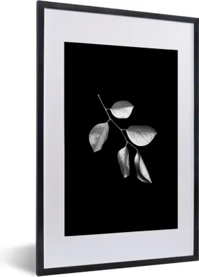 Produktbild von MuchoWow® Gerahmtes Poster Zweig mit Blättern auf schwarzem Hintergrund - schwarz und weiß 40x60 cm - Poster mit Schwarzem Bilderrahmen Wandposter Rahmen Foto Bilder - Poster in Rahmen