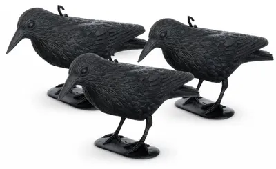 Image de Brandsseller : Effaroucheur pour pigeons, leurre de corbeau en plastique, répulsif pour oiseaux pour balcon, jardin et terrasse, noir, environ 36 x 20 cm, résistant aux intempéries, à poser, à suspendre ou à planter. Lot de 3 – Taille : lot de 3