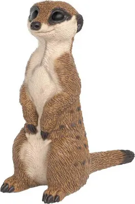 Produktbild von Schleich Erdmännchen