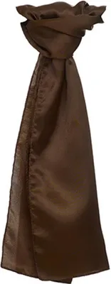 Produktbild von Damen Schal Satin Scarf - Farbe: Brown - Größe: 120 x 25cm