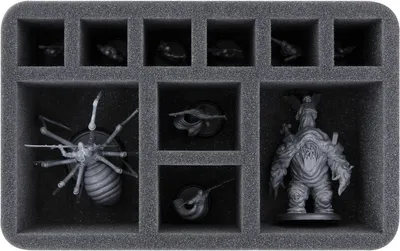 Image de Insert en mousse Malifaux, 10 compartiments