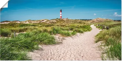 Produktbild von ARTland Poster Leuchtturm auf der Insel Amrum Größe: 40x20 cm
