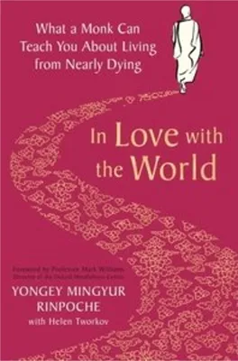 Productafbeelding van In Love with the World