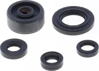 Image de Jeu de bagues de collecteur moteur ATHENA P400485400164