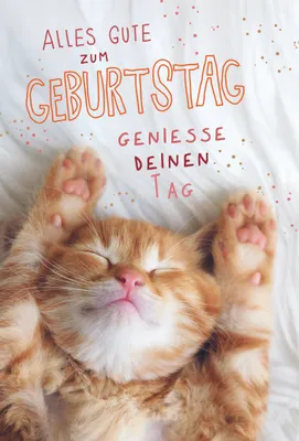 Produktbild von Geburtstag Geniesse den Tag Katze auf dem Rücken Glückwunschkarte mit Umschlag