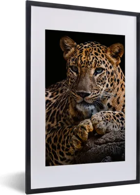 Produktbild von MuchoWow® Gerahmtes Poster Wildtiere - Panther - Porträt - Schwarz - Tiere 40x60 cm - Poster mit Schwarzem Bilderrahmen Wandposter Rahmen Foto Bilder - Poster in Rahmen