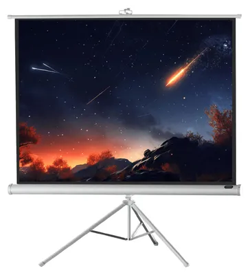 Produktbild von celexon Stativleinwand Economy 176 x 132 cm - White Edition