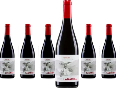 Produktbild von 6 x Finca Míllara Lagariza