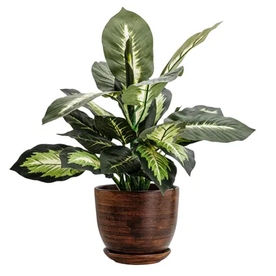 Image de Pot en céramique rond avec soucoupe brun foncé 30,5 cm brillant avec trou de drainage