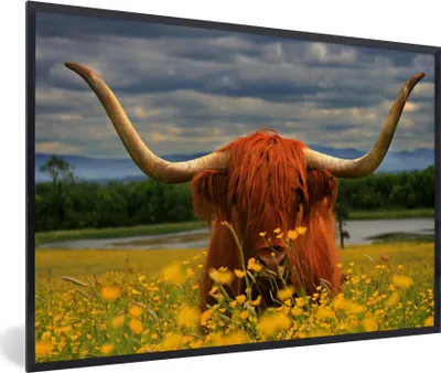 Produktbild von MuchoWow® Gerahmtes Poster Schottischer Highlander - Tiere - Blumen 90x60 cm - Poster mit Schwarzem Bilderrahmen Wandposter Rahmen Foto Bilder - Fotorahmen - Foto-Plakat