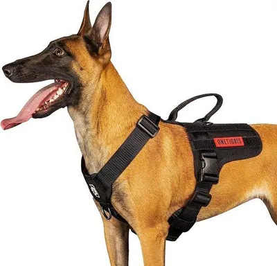 Immagine prodotto di Imbracatura tattica per cani Unyqoos® – Imbracatura antistrappo con maniglia grande, regolabile, sistema di chiusura rapida UTX, 2 anelli a D in acciaio inossidabile, nylon da 3,8 cm, adatta a cani di taglia media e grande