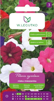 Zdjęcie produktu dla Nasiona Petunia ogrodowa nis.zwarte mieszanka 0.10g - W.Legutko
