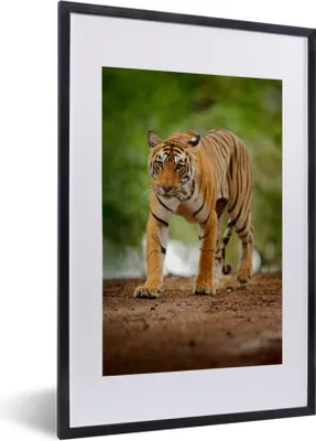 Produktbild von MuchoWow® Gerahmtes Poster Streifender Tiger 40x60 cm - Poster mit Schwarzem Bilderrahmen Wandposter Rahmen Foto Bilder - Poster in Rahmen