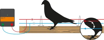Produktbild von Gallagher Vogelschrikdraad kit
